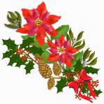 Christmas flowers